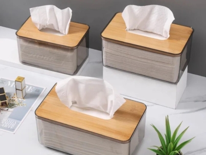 Nordic minimalist tissue box